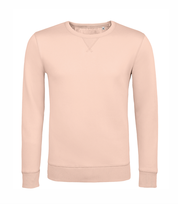 Sully vīriešu džemperis creamy pink