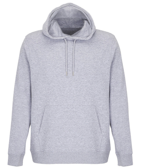 CONSTELLATION hoodie grey melange