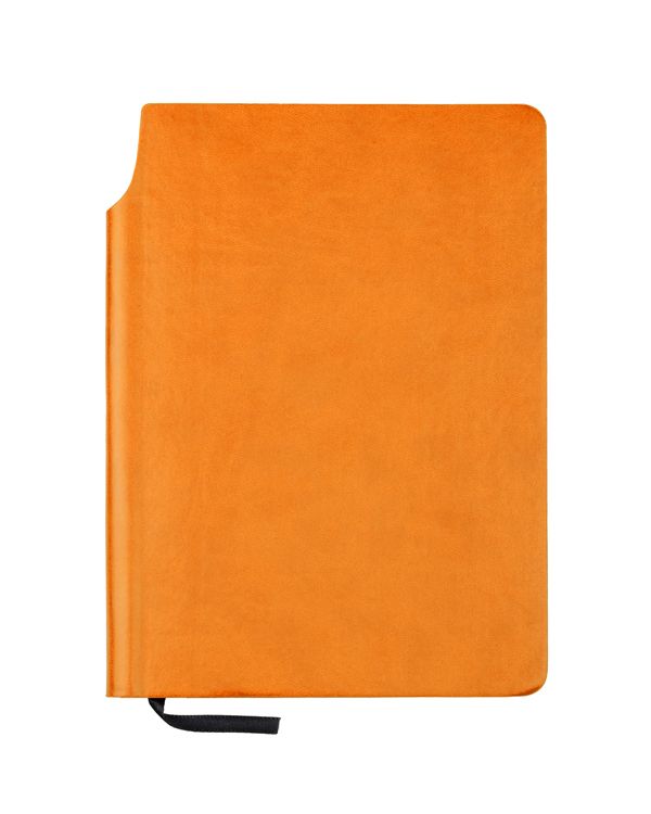 Bloknots MOLI A5 oranžs