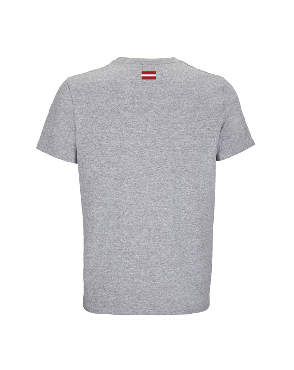 Lnk boxing t-krekls pelēks #1